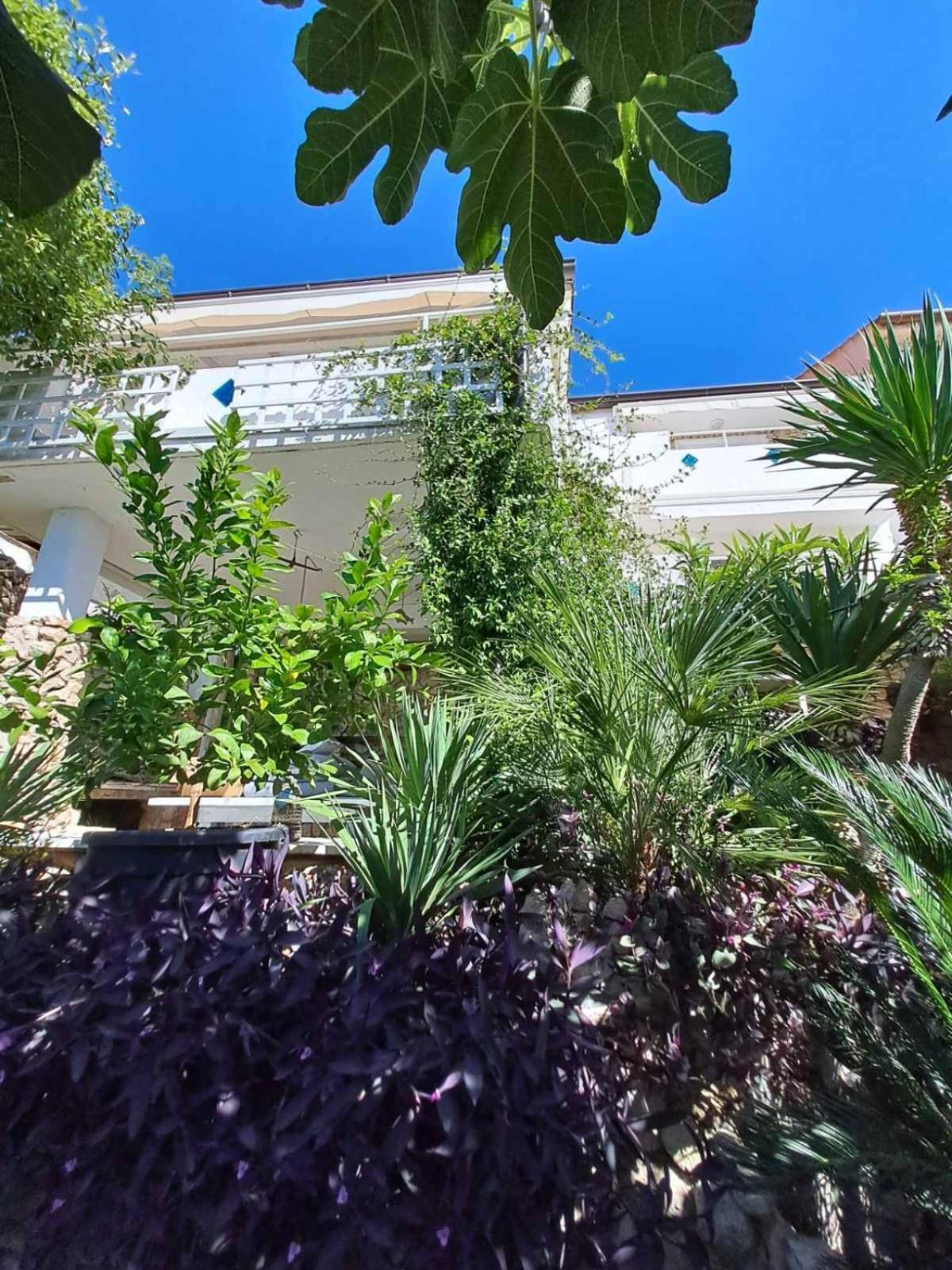 Libera1 Apartment Stara Baska Exterior photo